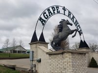 19 former students make new claims of brutal physical and sexual abuse at fundamentalist boarding school