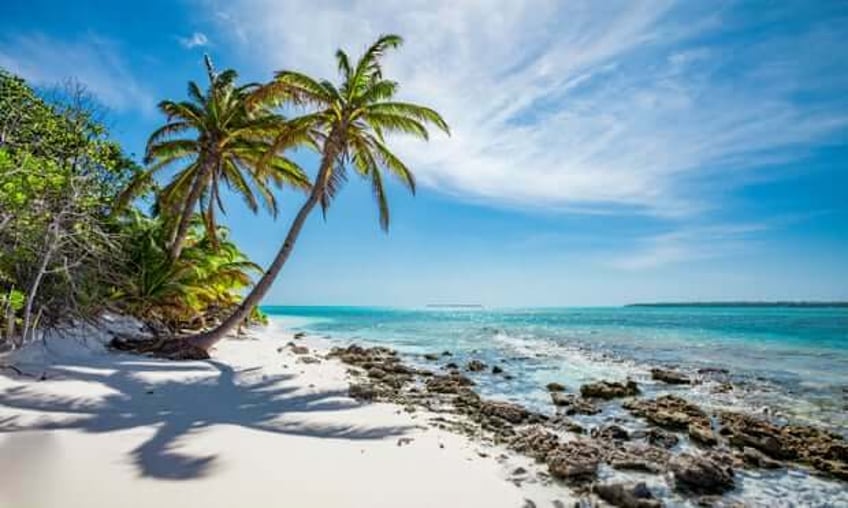 australia urged to take control of cocos cc internet domain to foil scammers and child abuse sites