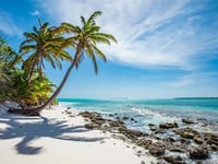 australie dringt aan op controle over internetdomein cocos cc om oplichters en sites met kindermisbruik tegen te gaan