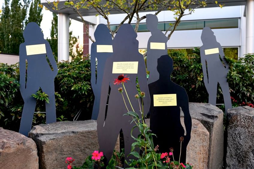 co located domestic violence child abuse center coming to washco