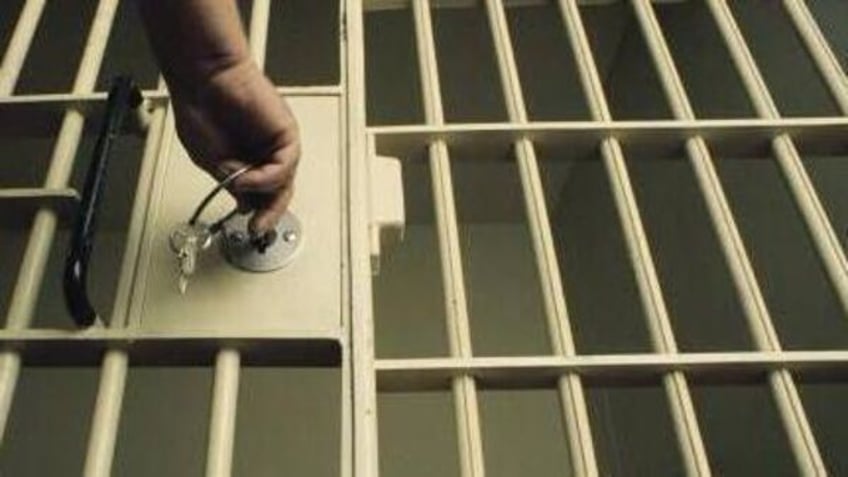 corkman jailed for downloading nearly 2 000 child abuse images