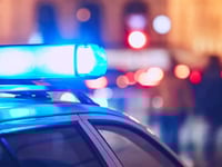 departamento del sheriff el nino encontrado en el condado de davidson vivio en una perrera durante seis meses