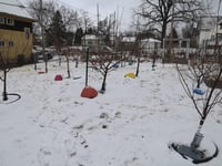 dit zijn de gezichten die vechten tegen kindermishandeling in wisconsin de beschermers van de kinderen