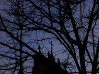 duizenden kinderen gedurende 70 jaar misbruikt door leden van de portugese katholieke kerk rapport