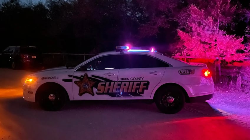 florida undercover operation leads to arrest of 12 men in connection with alleged sexual activity with minors