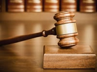 las vegas mother charged with child abuse due to unsanitary home
