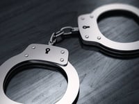 moeder martelde haar kinderen en dwong hen tot valse handicaps zeggen agenten in minnesota