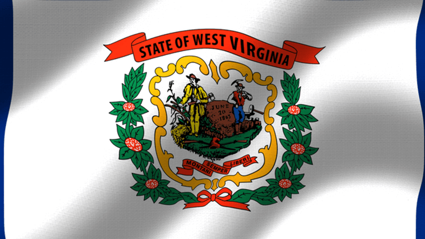 pandemic has masked child abuse neglect cases in west virginia