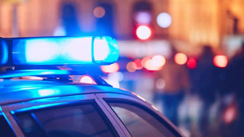 sheriffs dept boy found in davidson county lived in dog kennel for six months